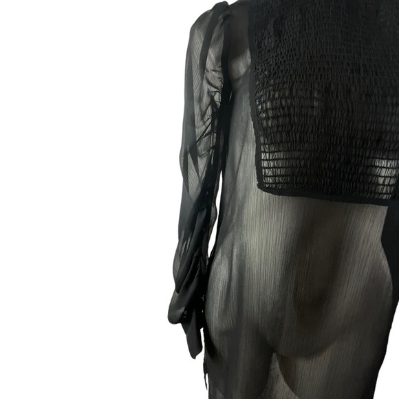 Zara Black Sheer Smocked High Neck Smocked Front Panel Ruched Sleeve Dress - Picture 6 of 14